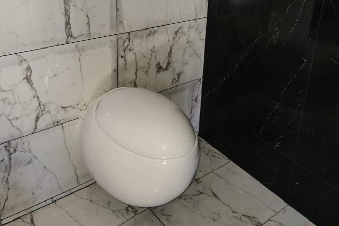 Toilet Cleaning